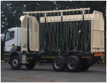 Rigid cane body